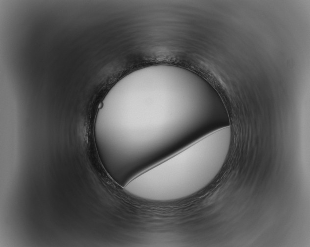 X0000093480643200710120955