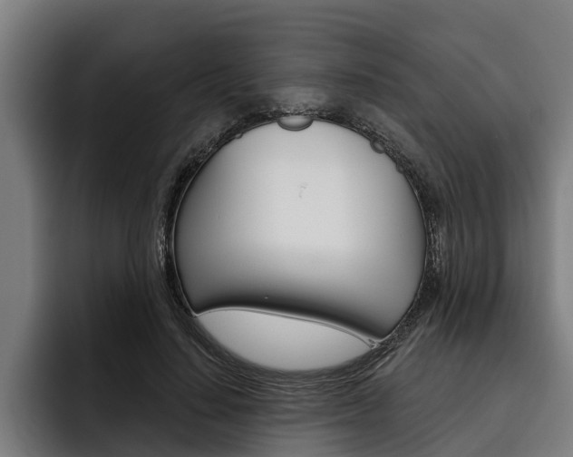X0000093480644200710120955