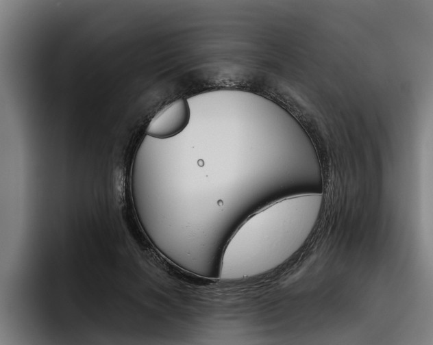 X0000093480646200710120955