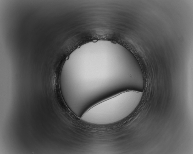 X0000093480647200710120955