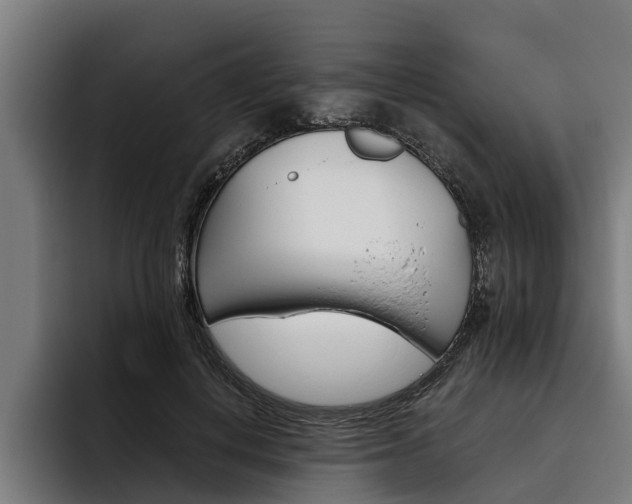 X0000093480648200710120955