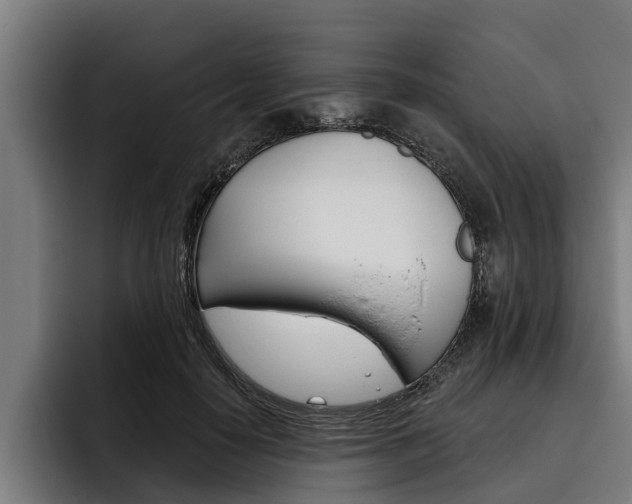 X0000093480650200710120955