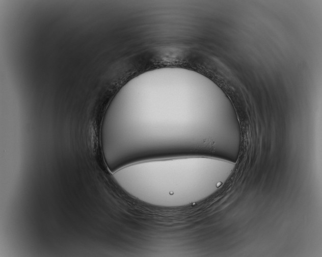 X0000093480651200710120955