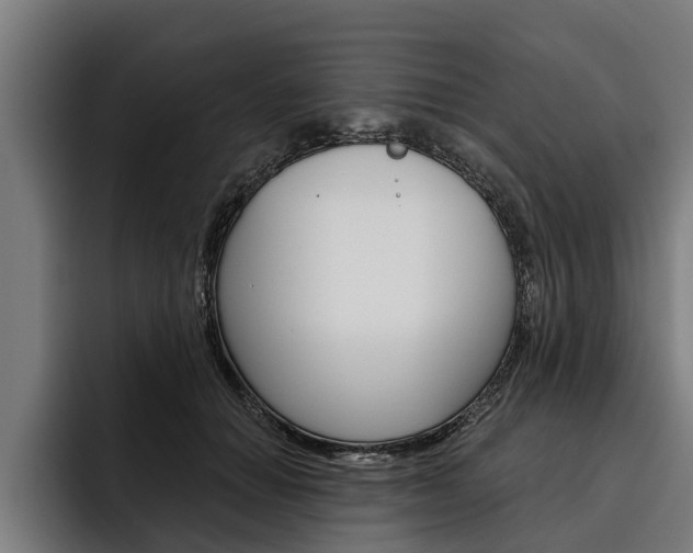 X0000093480654200710120955
