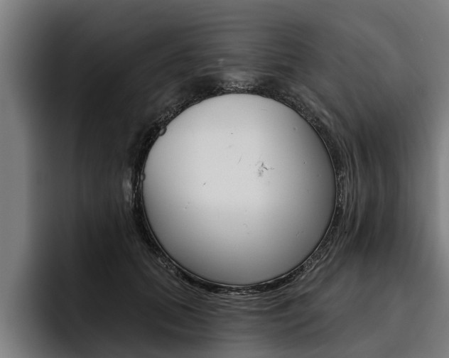 X0000093480655200710120955