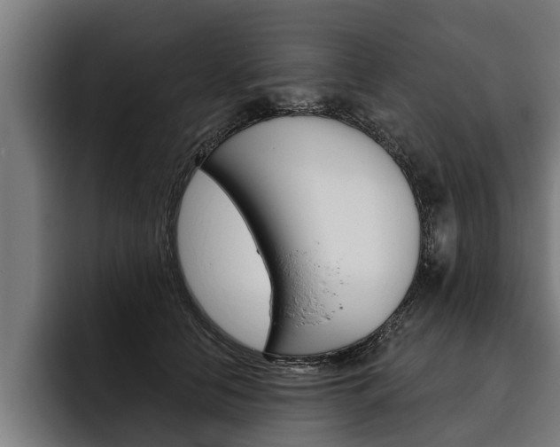 X0000093480658200710120955