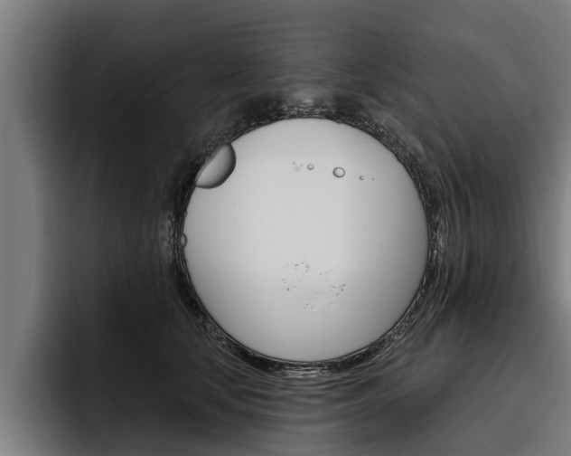 X0000093480659200710120955