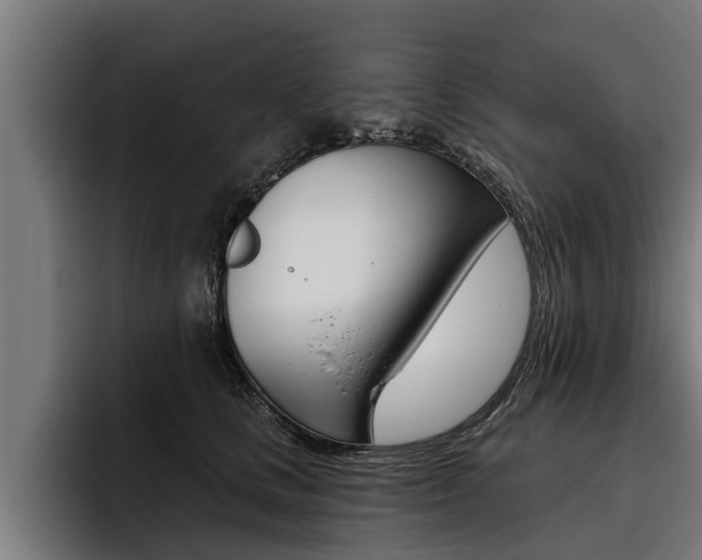 X0000093480661200710120955