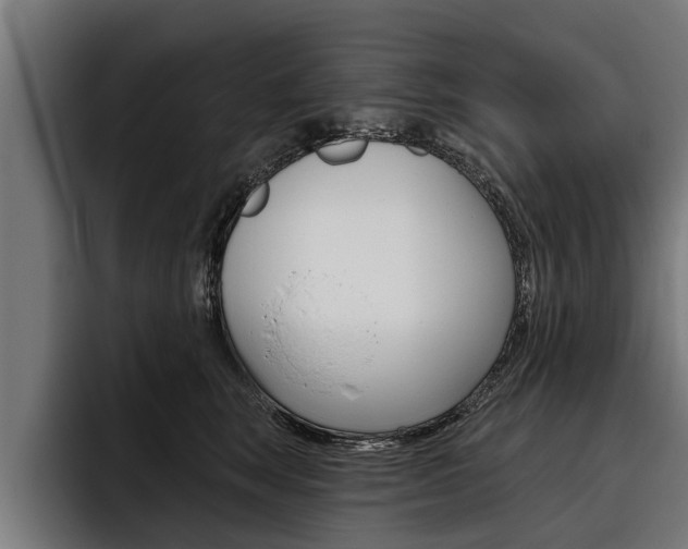 X0000093480663200710120955