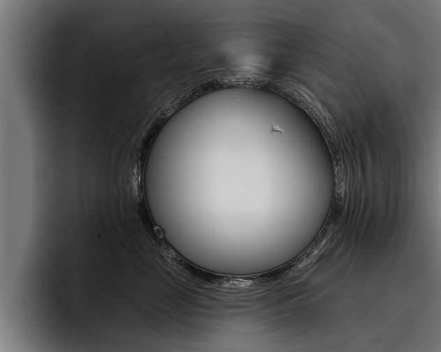 X0000093480669200710120955