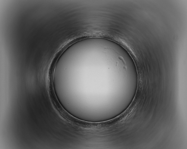 X0000093480674200710120955