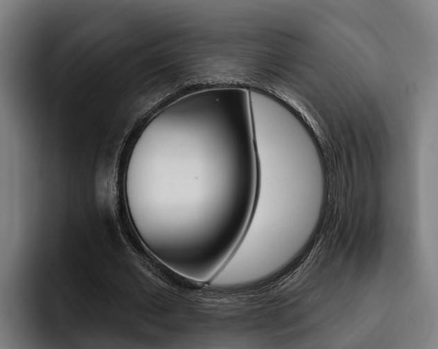X0000093480677200710120955