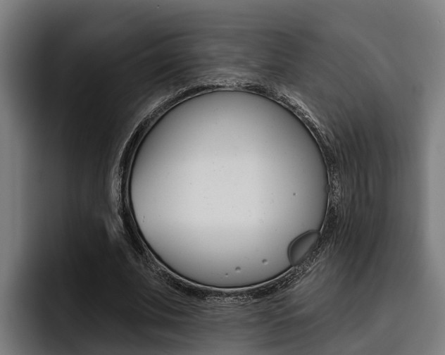 X0000093480679200710120955