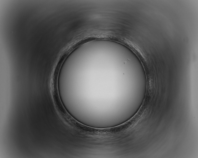 X0000093480682200710120955