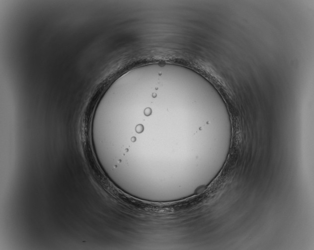 X0000093480683200710120955
