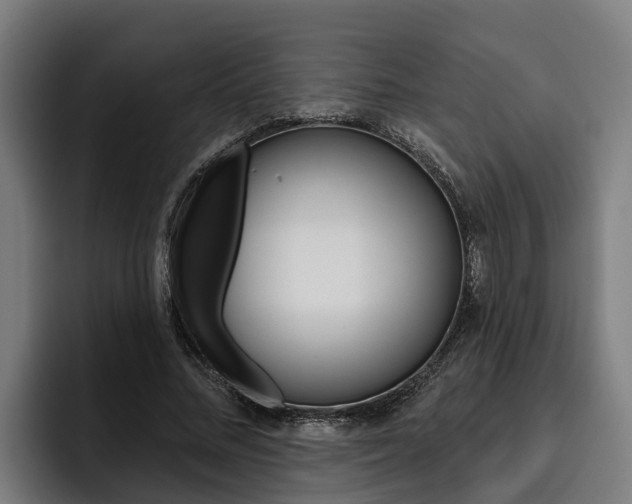 X0000093480684200710120955