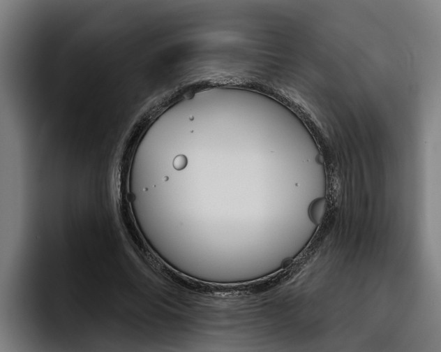 X0000093480686200710120955