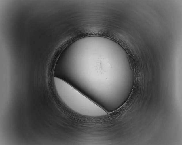 X0000093480688200710120955