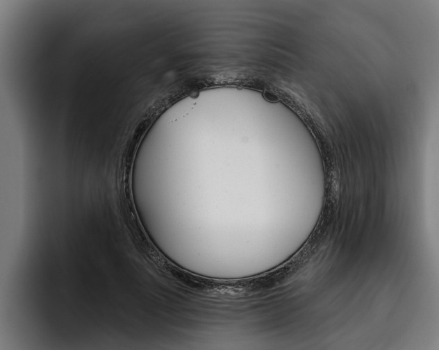 X0000093480691200710120955