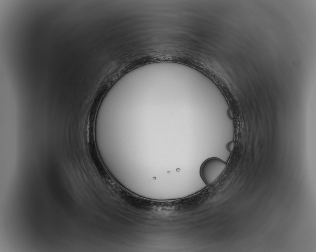 X0000093480694200710120955