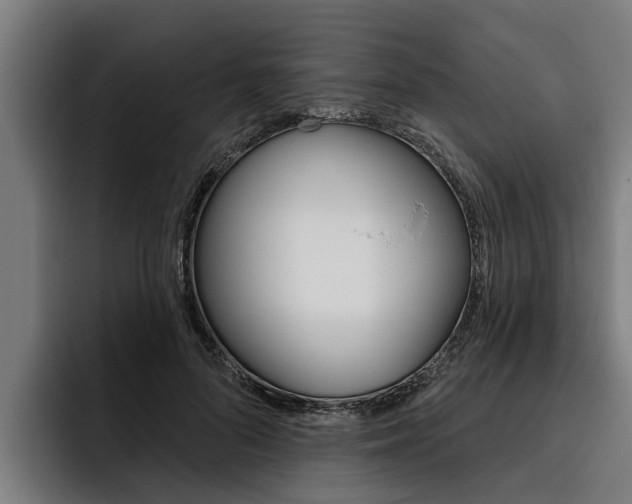 X0000093480696200710120955