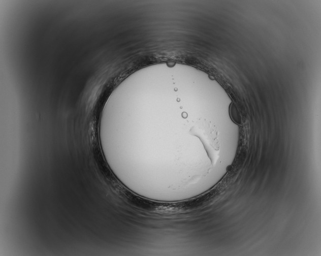 X0000093480699200710120955