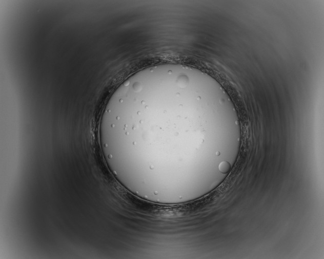 X0000093480702200710120955