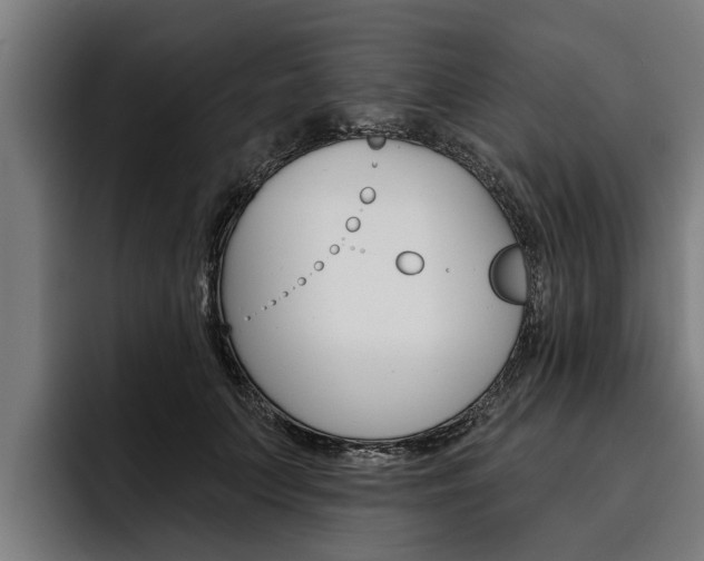 X0000093480703200710120955