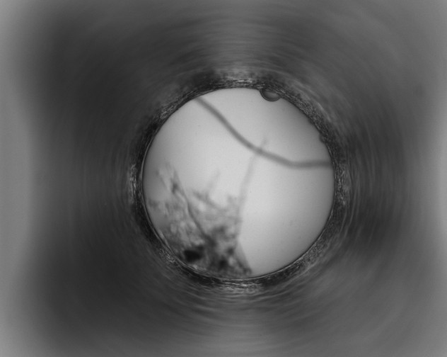 X0000093480707200710120955