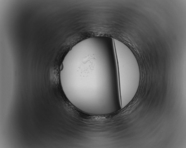 X0000093480719200710120954
