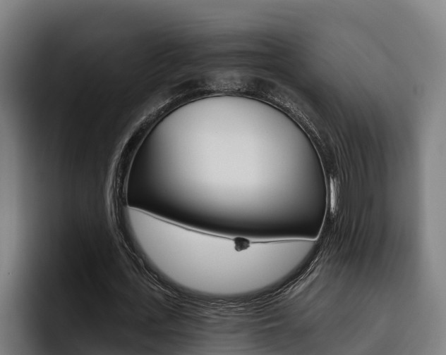 X0000093480723200710120954