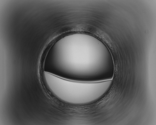 X0000093480724200710120954