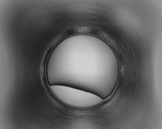 X0000093480725200710120954
