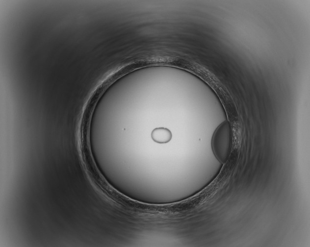X0000093480726200710120954