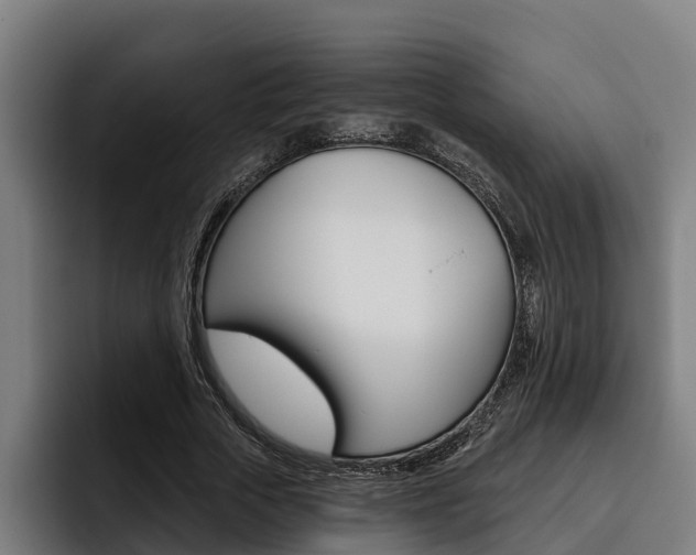 X0000093480729200710120954