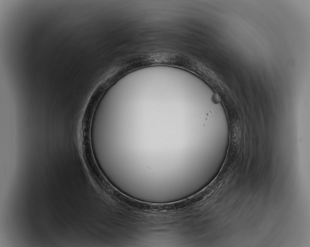 X0000093480730200710120954