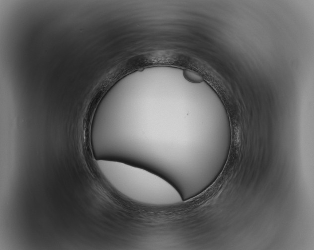 X0000093480733200710120954