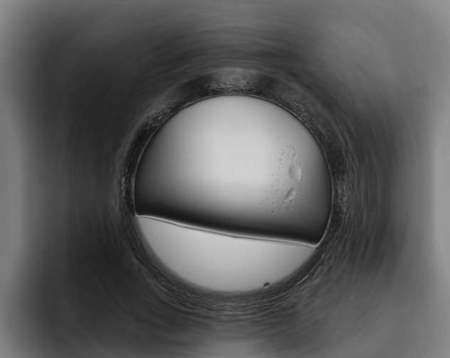 X0000093480735200710120954