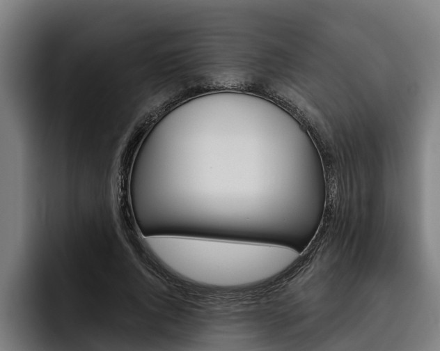 X0000093480736200710120954