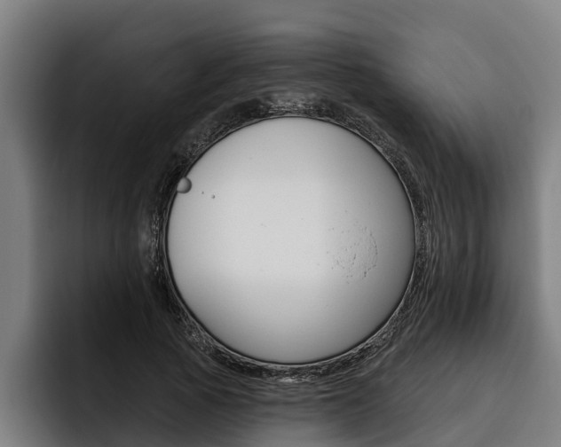 X0000093480737200710120954