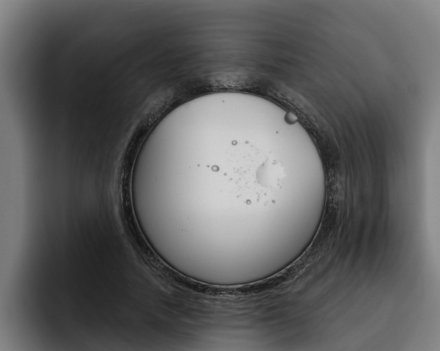X0000093480738200710120954