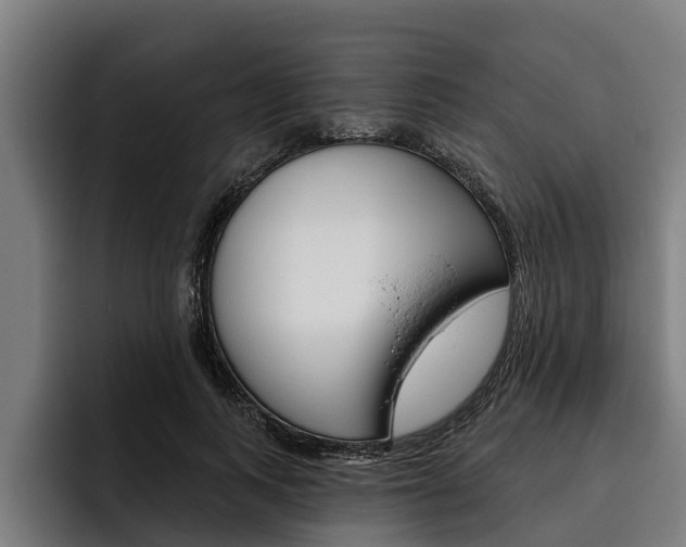 X0000093480743200710120954