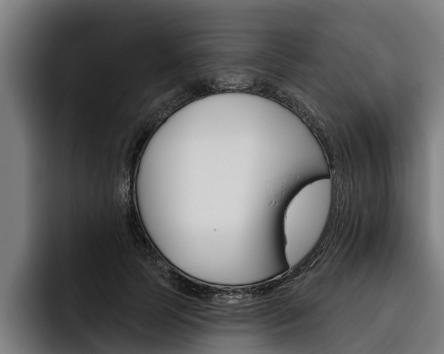 X0000093480745200710120954