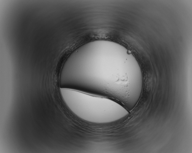 X0000093480747200710120954