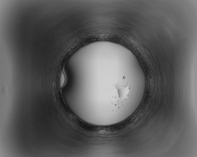 X0000093480750200710120954