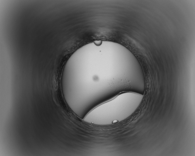 X0000093480751200710120954