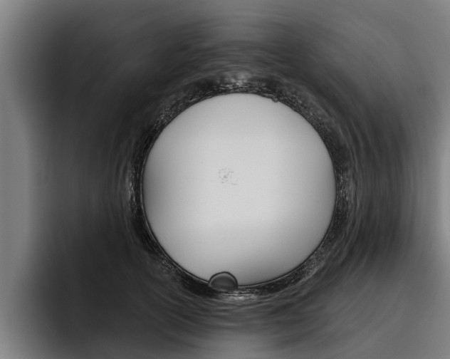 X0000093480754200710120954