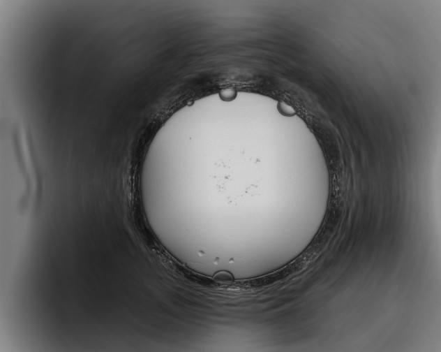 X0000093480755200710120954