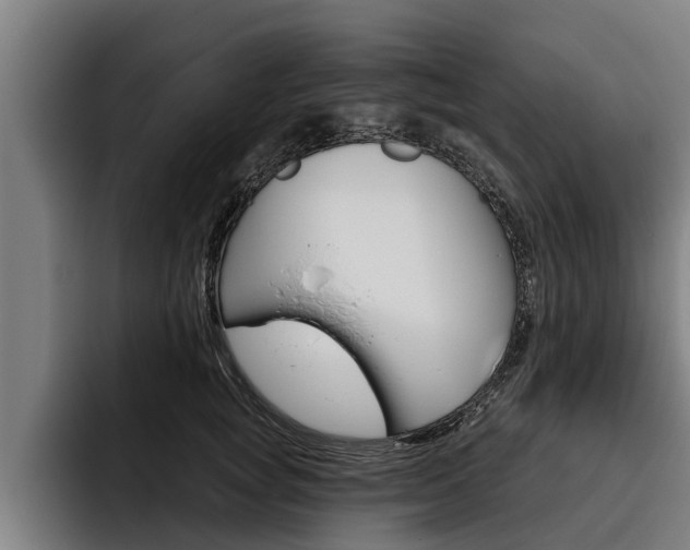 X0000093480757200710120954