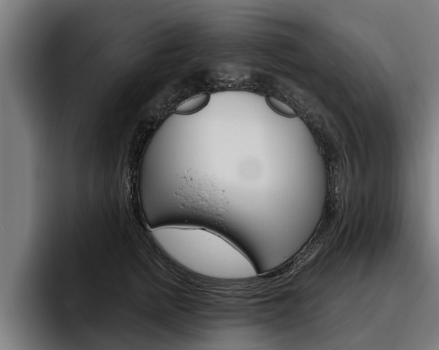 X0000093480758200710120954